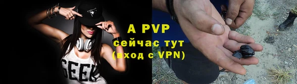 гашик Краснослободск